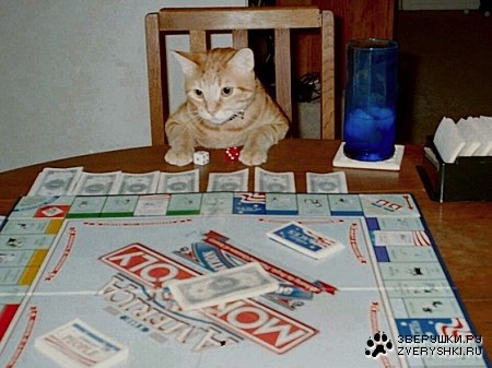 ���-���������� :)