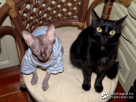 �������� :)