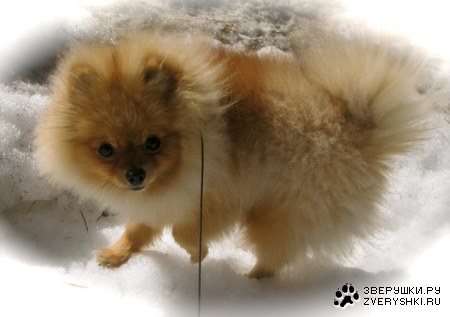 ������ �� ���������� ������!