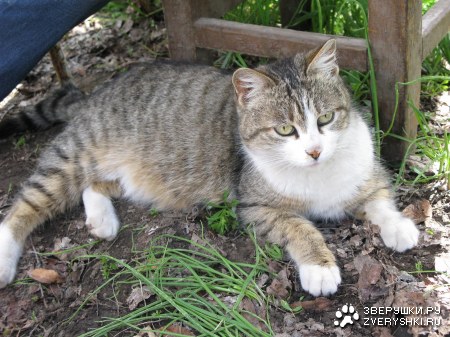 ��� � ����� :)