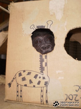 ���� �� ������ :)