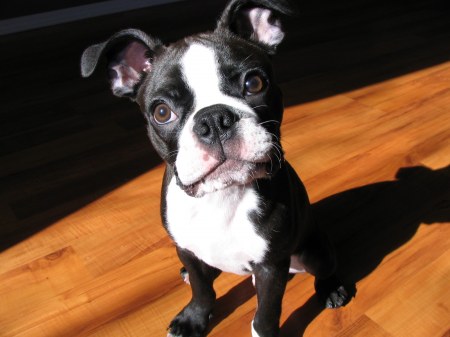 ������� ������� :)