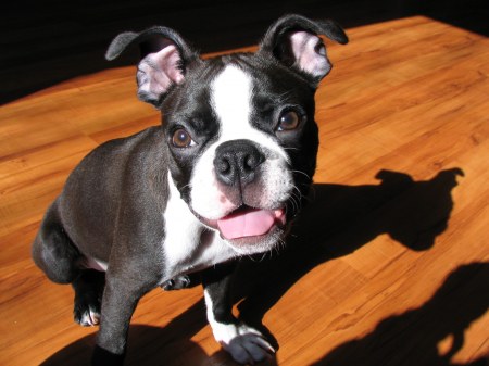 ������� ������� :)