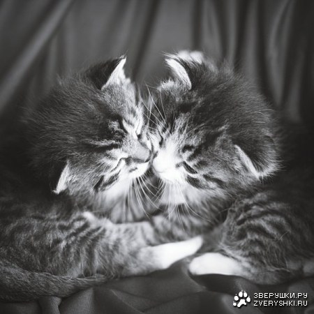 ��������� ��������... ;)