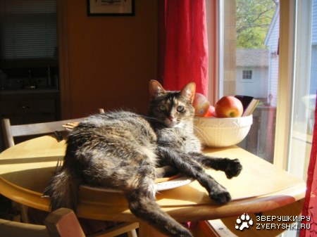 ����� �� ���� :)