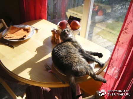 ����� �� ���� :)