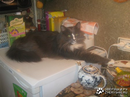 ���������� :)