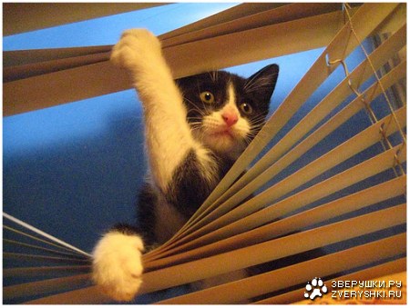 ��� ��� �� ���� ��������? :)