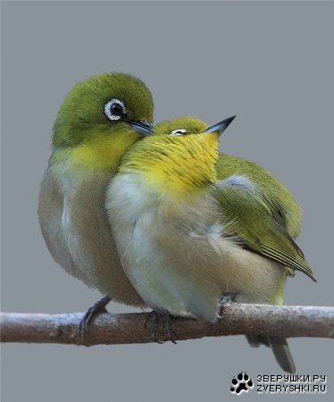 ������ ��� �� ����� ;)