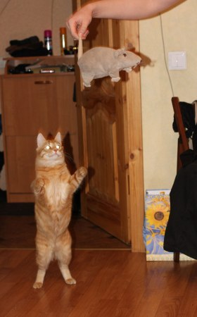 ����� �� ����� ;)