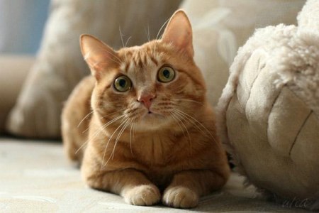 ������������ ������ :)