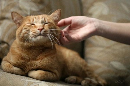 ������������ ������ :)