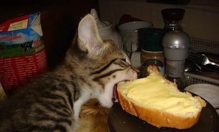 ���������� :)