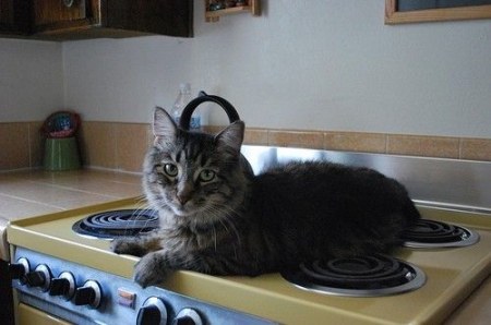 �������� ������ (6 ����)