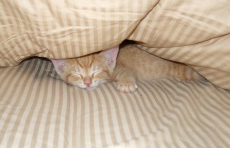 ���� � ��� :)