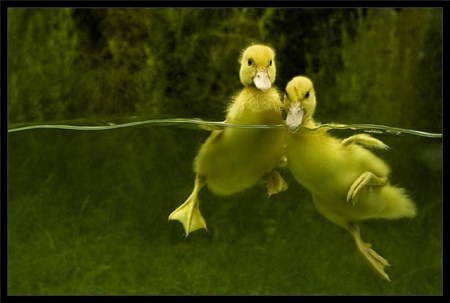 ����� ������ �������� (13 ����)