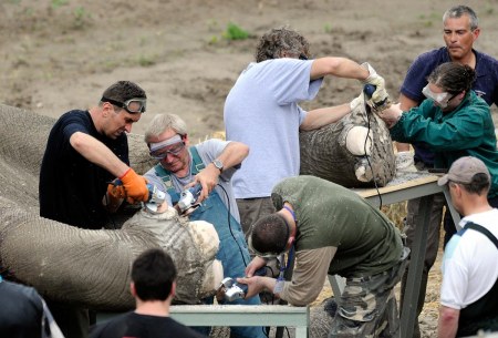 ������� ��� ����� :)