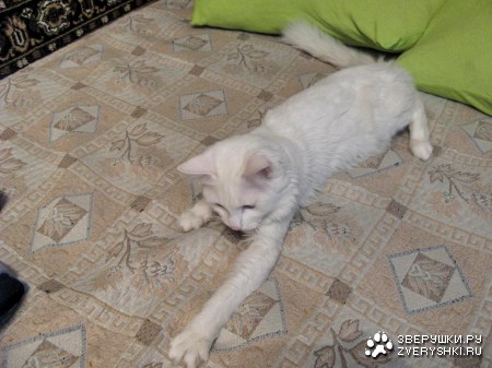 ����� - ������� ��� :)