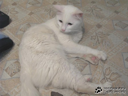 ����� - ������� ��� :)