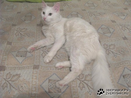 ����� - ������� ��� :)