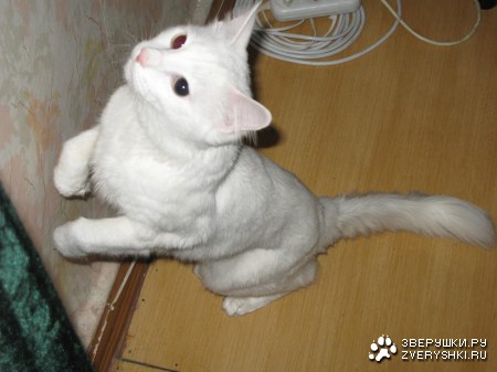 ����� - ������� ��� :)