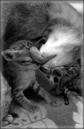 ������ ��������� ;)