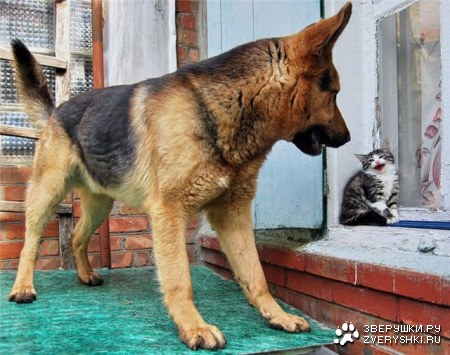 ������� �������� �������������! :)