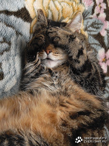 ������� � ������? :)