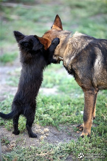 �� �������... :)