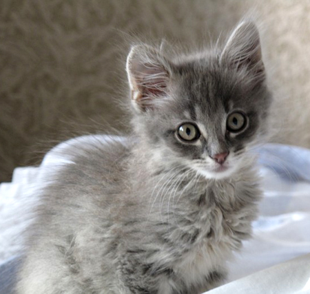 ����� ��� :)