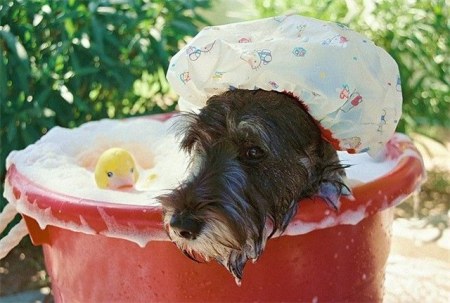 �����-����� �������� (14 ����)