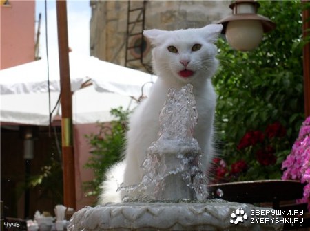 ����� � ������ :)