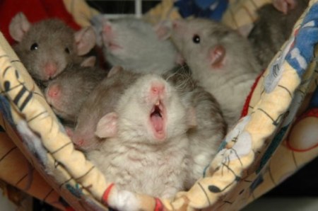 ����, ������? :)