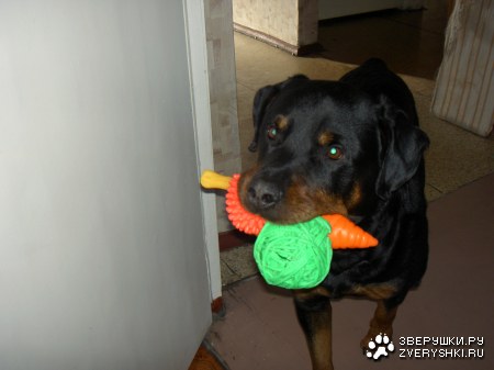 ��� �������� :)