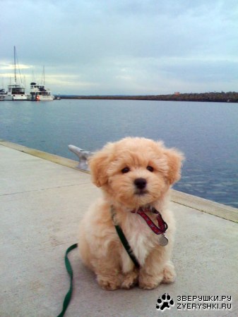 ����� ���� :)