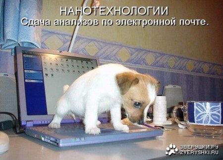 �������������� :)