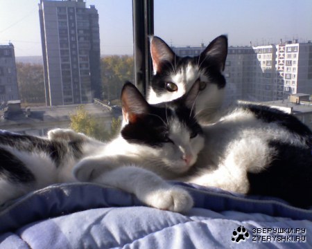 ����� ��������� :)