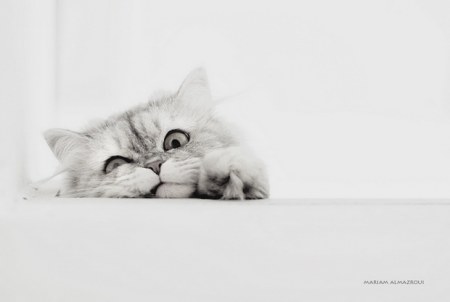 �������� ������� �� Mariam Almazroui