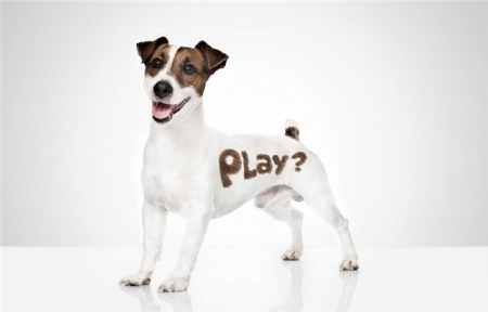 ������ ������ �������� (11 ����������)