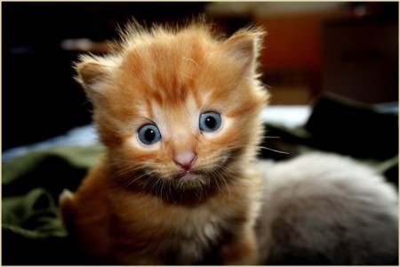 �������� ��� ���! :)