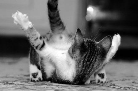 �������! :)