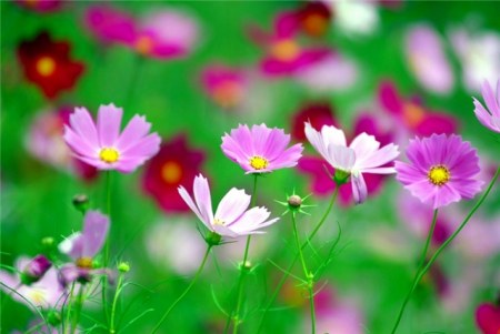 ������� ��� ����������! :)