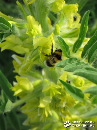 ����� ��������� :)