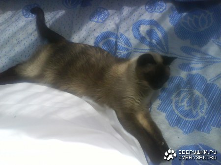 ����� ������� �� �������� :)