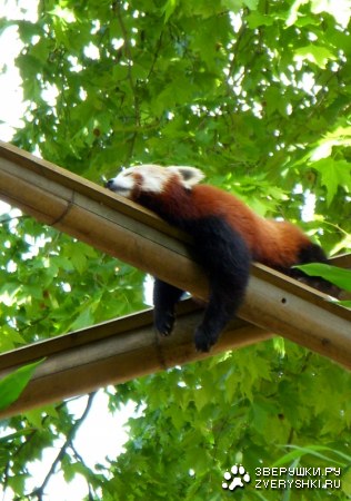 ����� ��������� :)