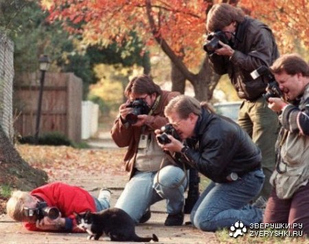 ���������� ������� :)