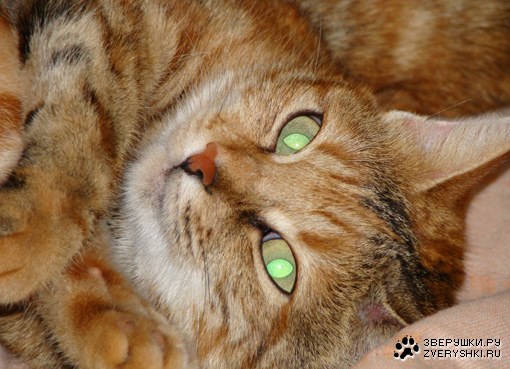 Милка :) Милка :)