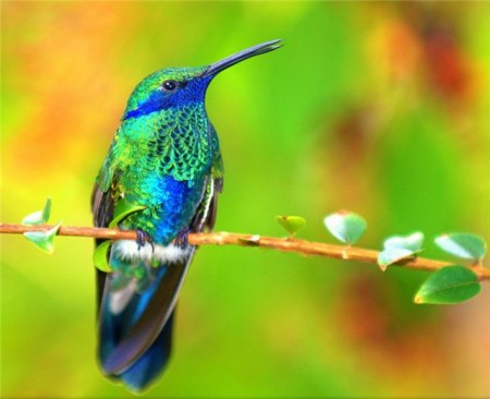 ���������� �������� (14 ����)