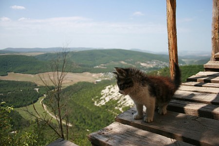 ����������� ��������� ;)