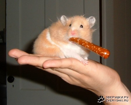 � ��� �� ����! ;)